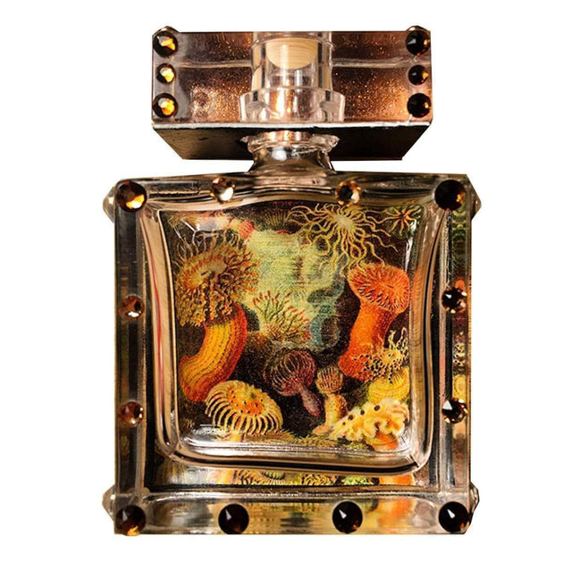 Meleg Perfumes MADALAINE 50ml【廃盤品】職人のムスク Meleg Perfumes MADALAINE 50ml【廃盤品】職人のムスク Madeline